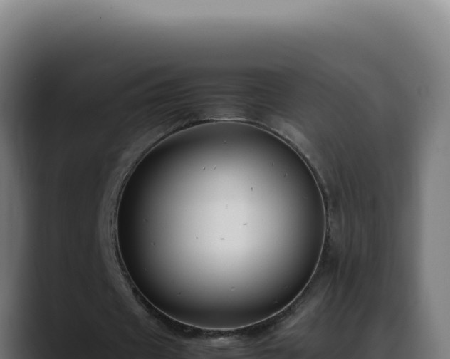 X0000088400433200705291432