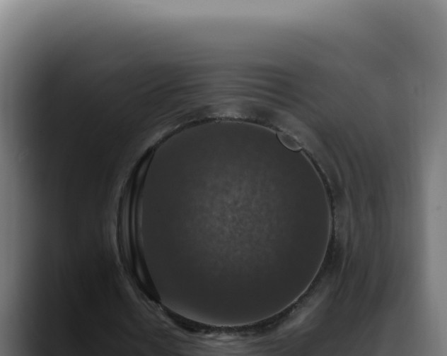 X0000088400434200705291432