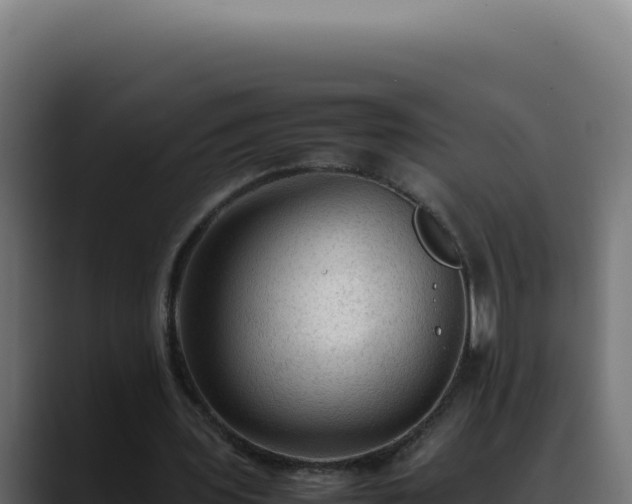 X0000088400435200705291432