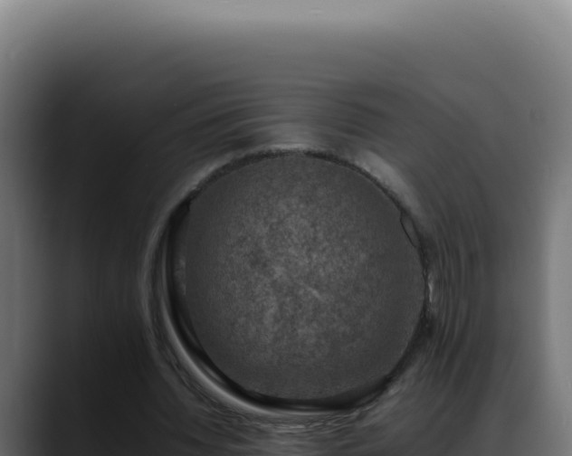 X0000088400436200705291432