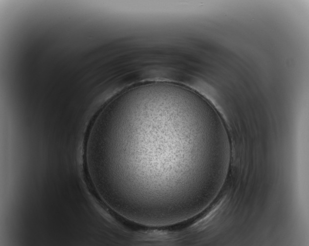 X0000088400437200705291432