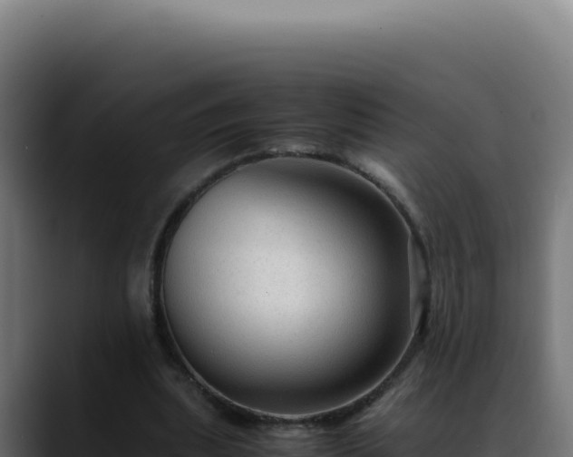 X0000088400439200705291432