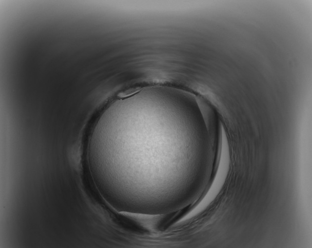 X0000088400440200705291432