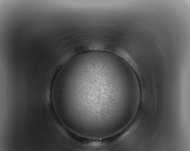 X0000088400441200705291432