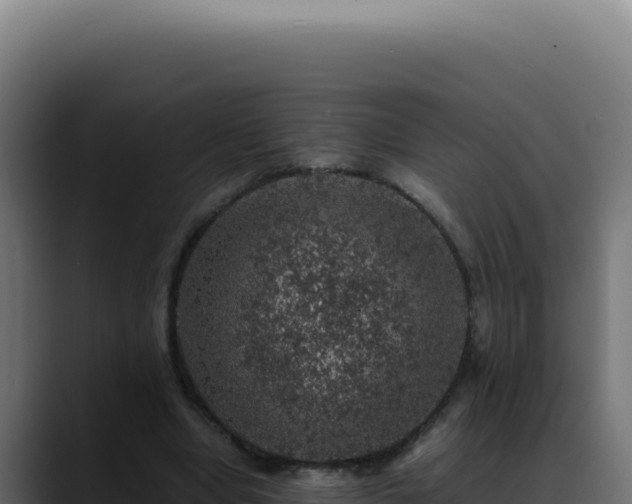 X0000088400442200705291432