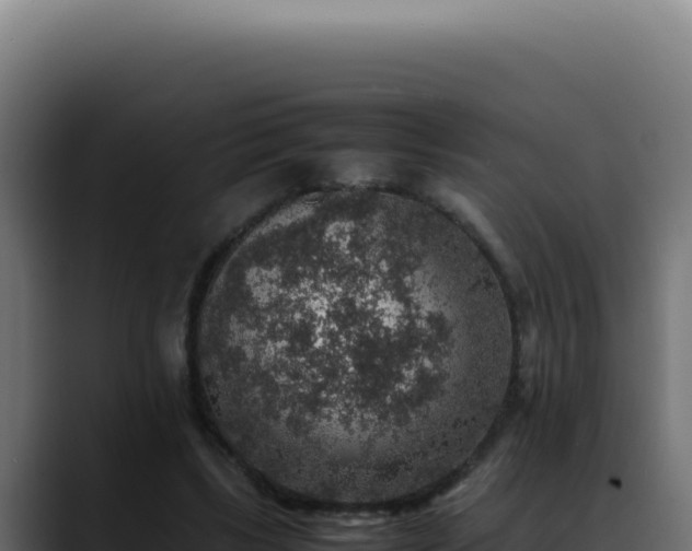 X0000088400443200705291432