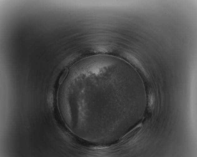 X0000088400444200705291432