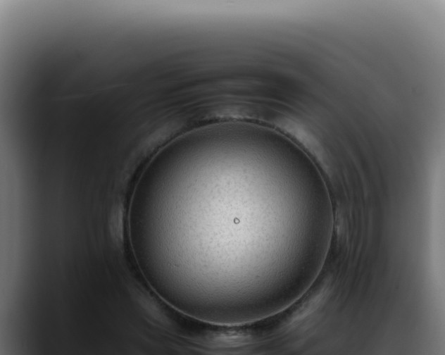 X0000088400445200705291432