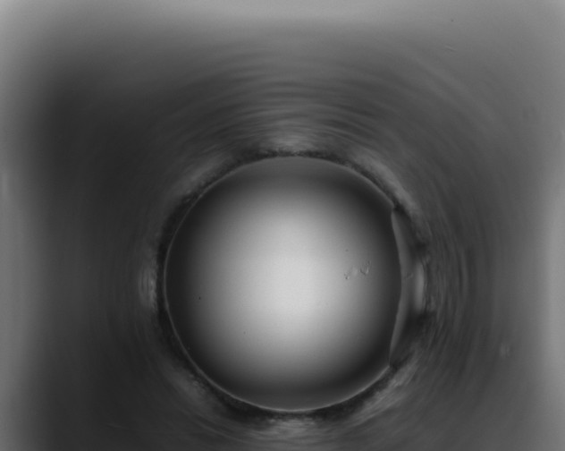 X0000088400446200705291432