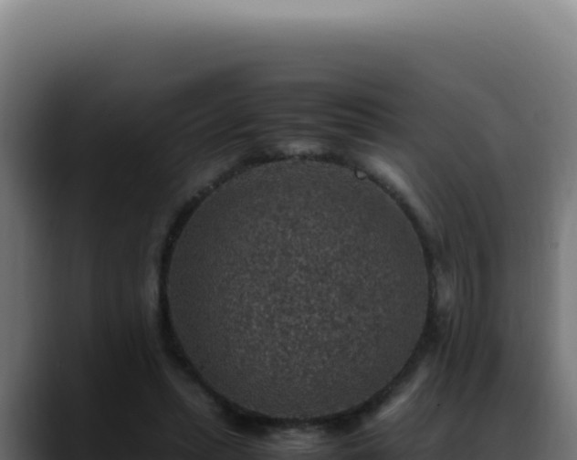 X0000088400447200705291432