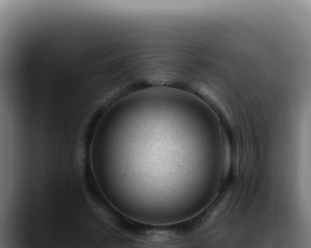 X0000088400448200705291432