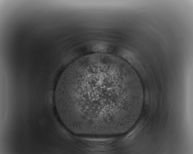 X0000088400449200705291432