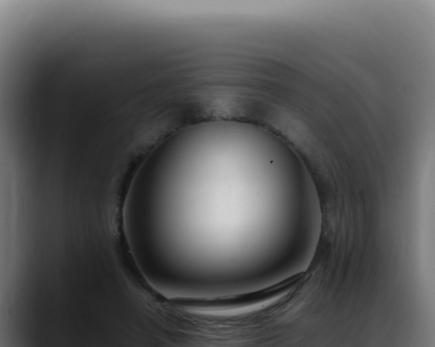 X0000088400450200705291432