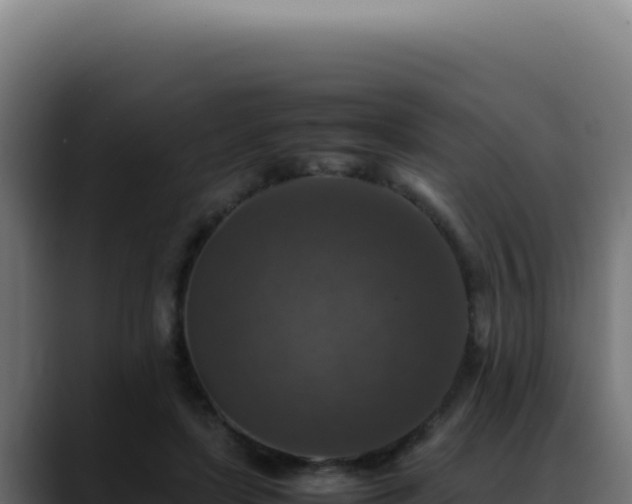 X0000088400451200705291432