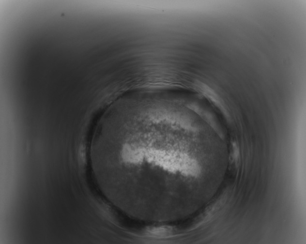 X0000088400452200705291432