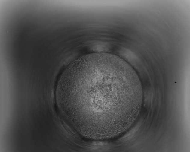 X0000088400453200705291432