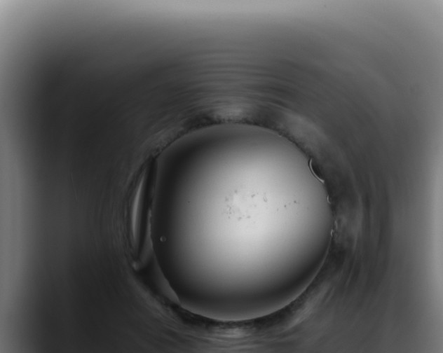 X0000088400454200705291432