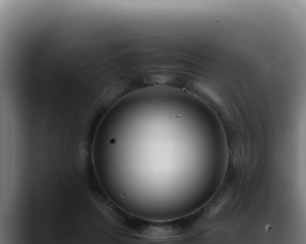 X0000088400455200705291432