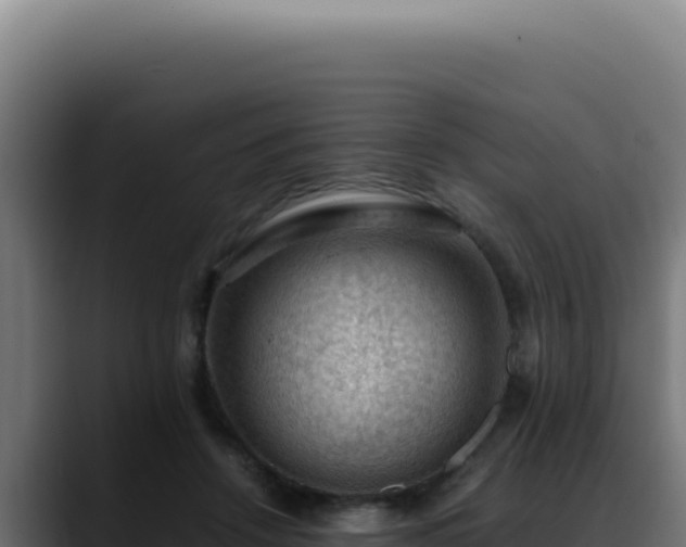 X0000088400456200705291432