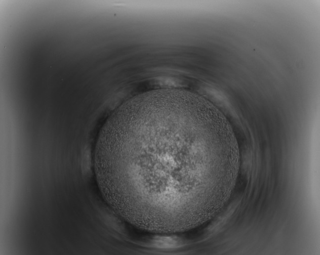 X0000088400457200705291432