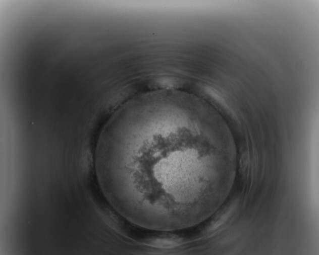 X0000088400459200705291432