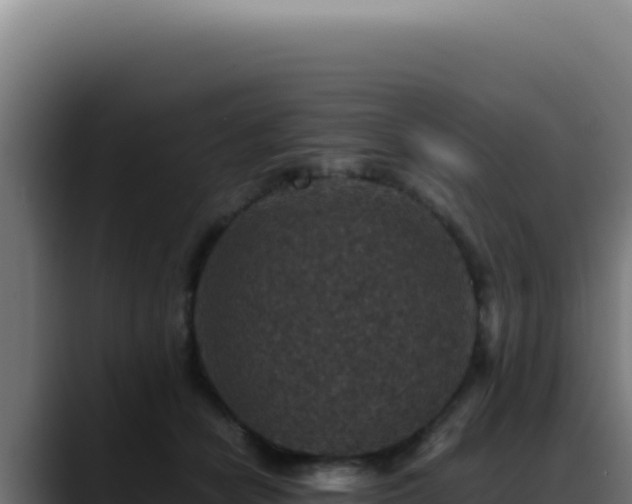 X0000088400462200705291432