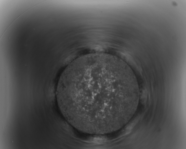 X0000088400466200705291432