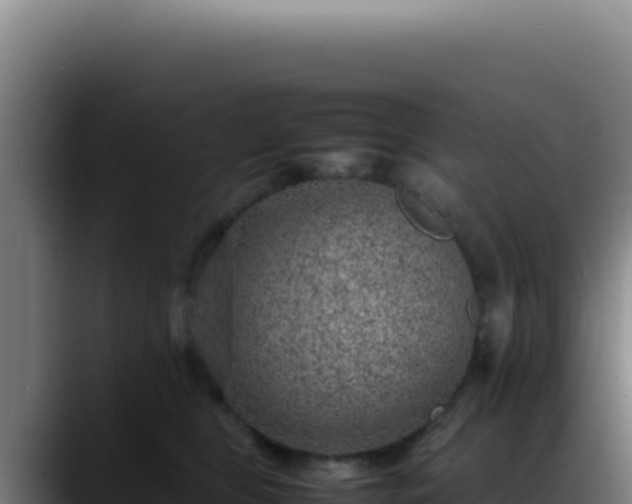 X0000088400469200705291432