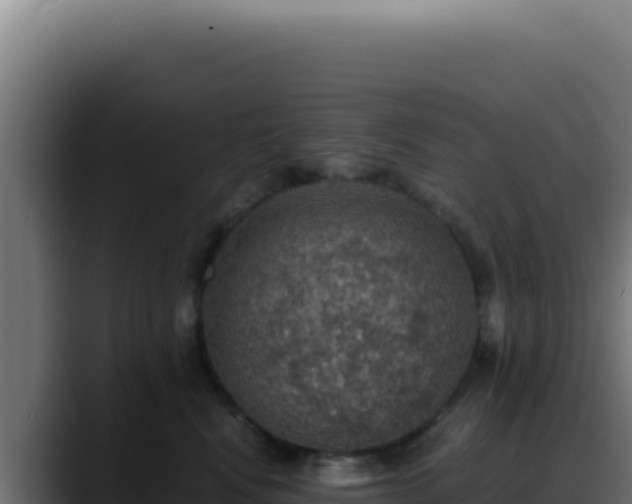 X0000088400472200705291432