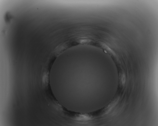 X0000088400475200705291432