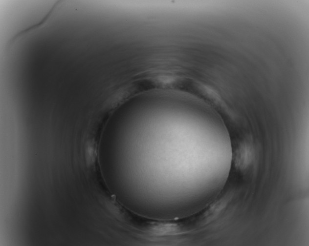 X0000088400476200705291432