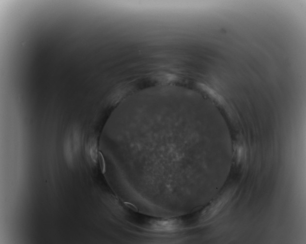 X0000088400479200705291432