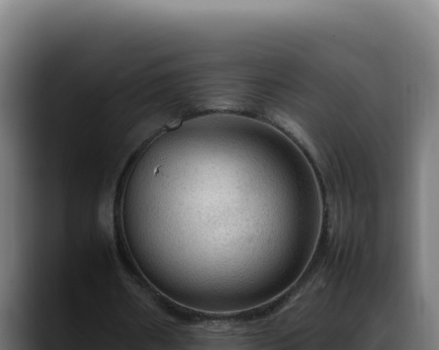 X0000088400482200705291432