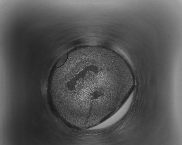 X0000088400483200705291432