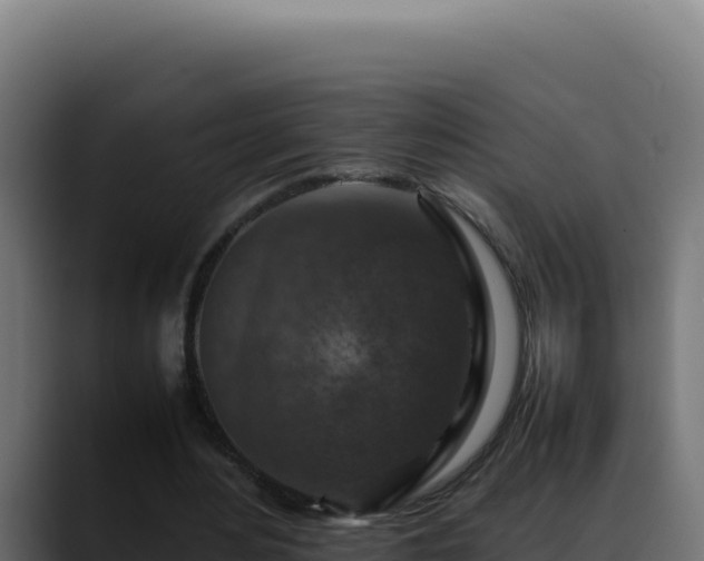 X0000088400484200705291432