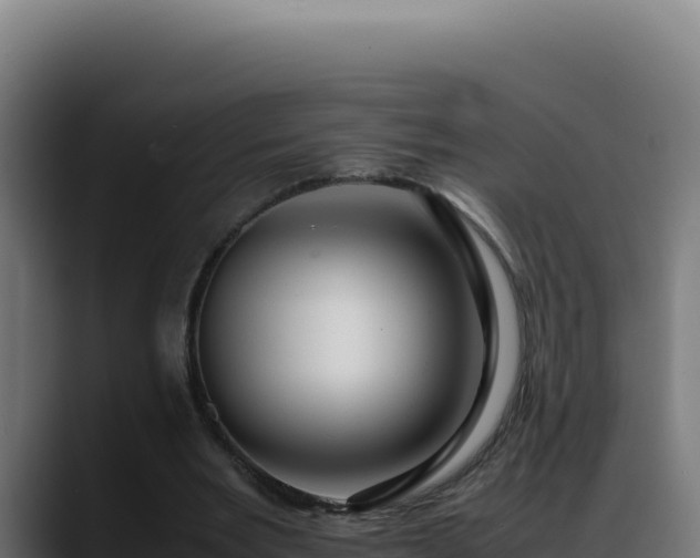 X0000088400485200705291432