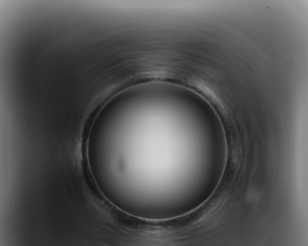 X0000088400486200705291432