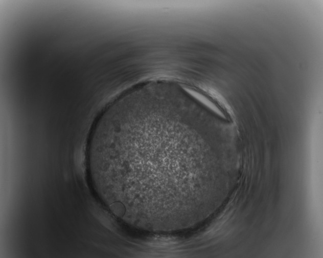 X0000088400487200705291432