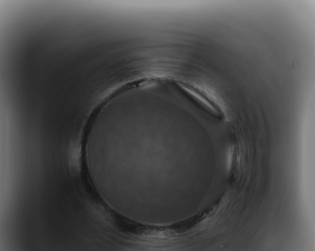 X0000088400488200705291432