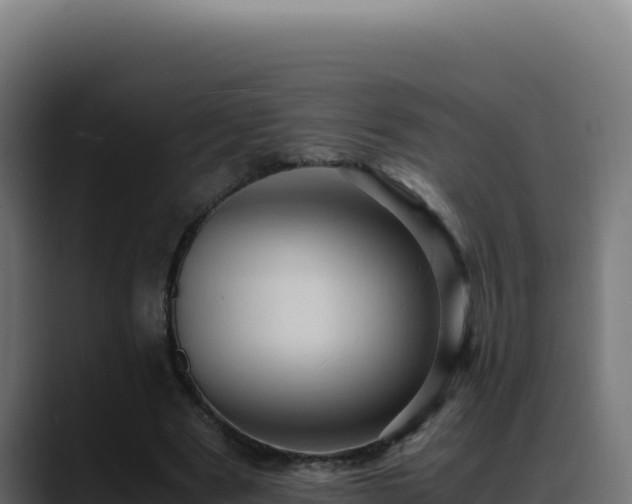 X0000088400489200705291432