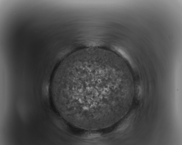 X0000088400491200705291432