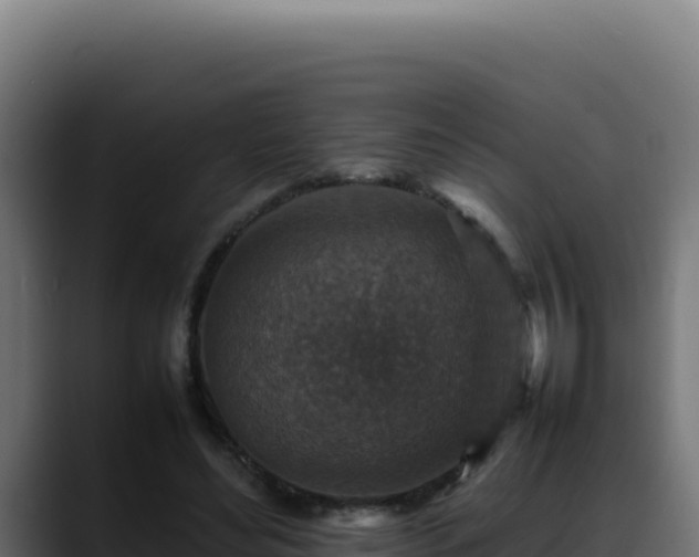 X0000088400492200705291432