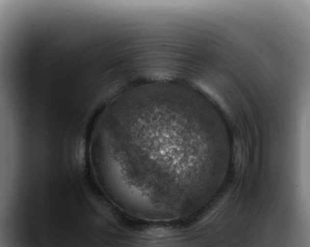 X0000088400494200705291432