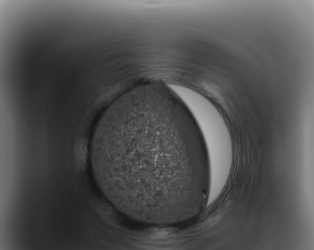 X0000088400495200705291432