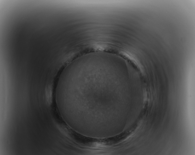 X0000088400496200705291432