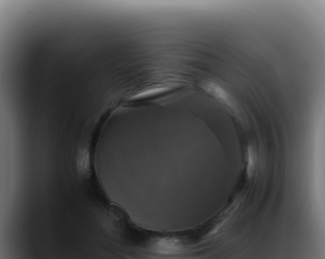 X0000088400500200705291431