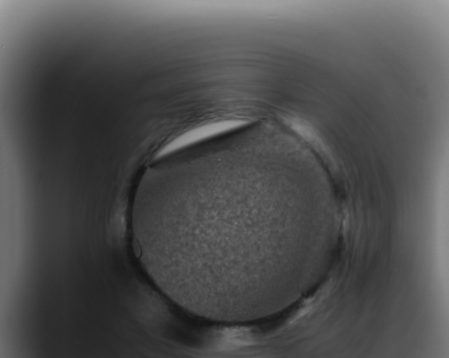 X0000088400501200705291431