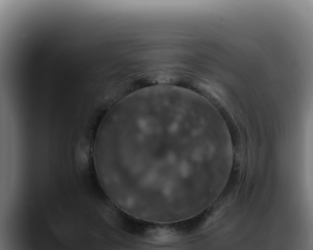 X0000088400503200705291431