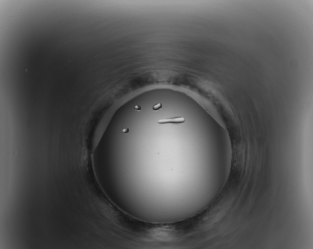 X0000088400505200705291431