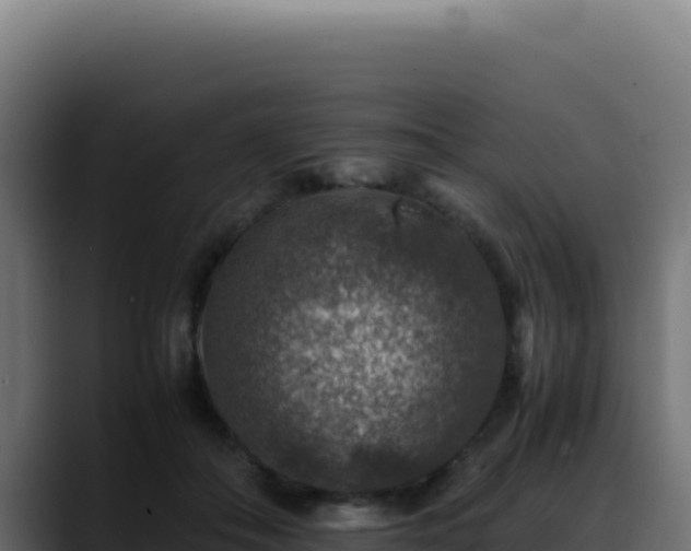 X0000088400506200705291431